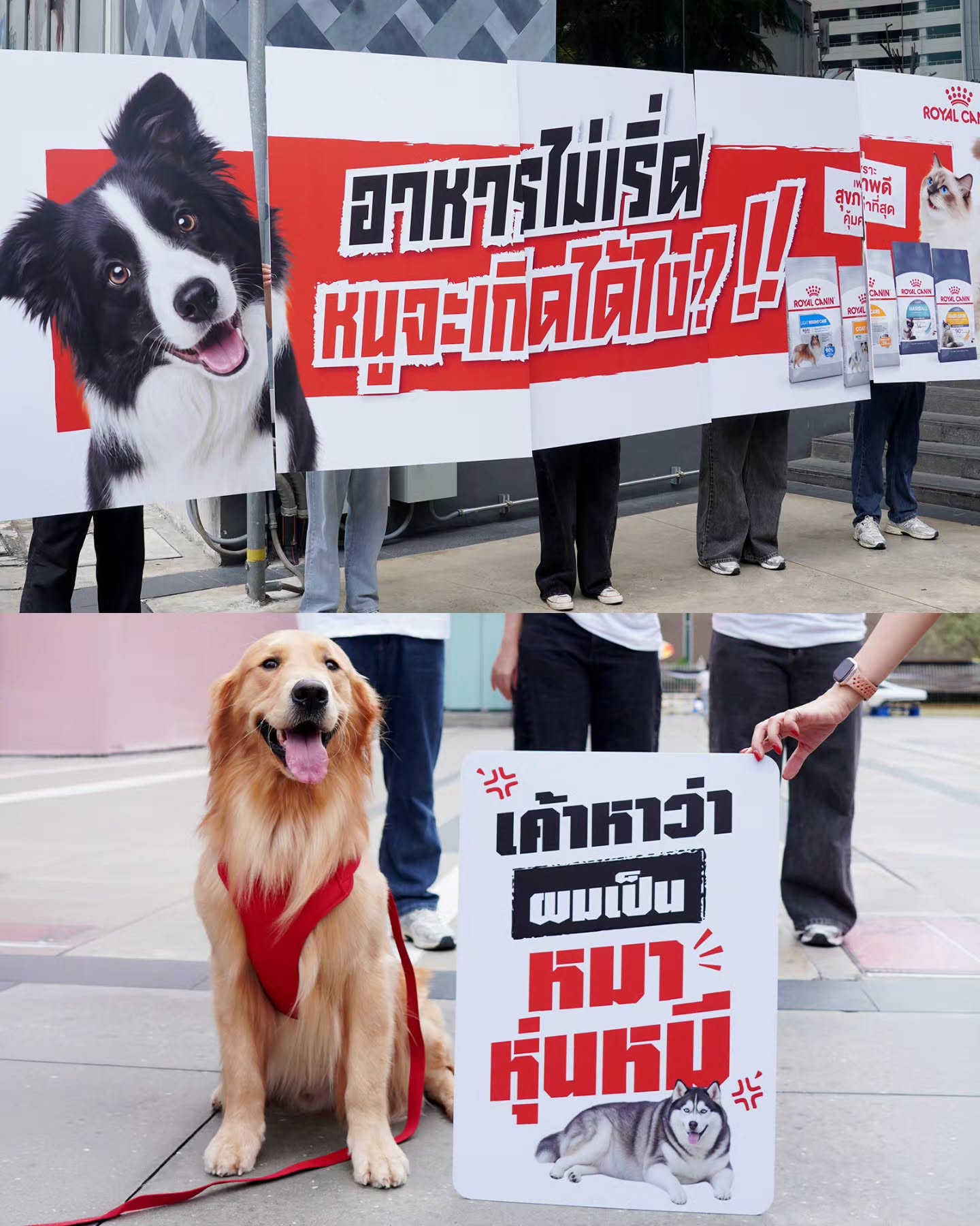 สกาย - วงศ์รวี นทีธร
