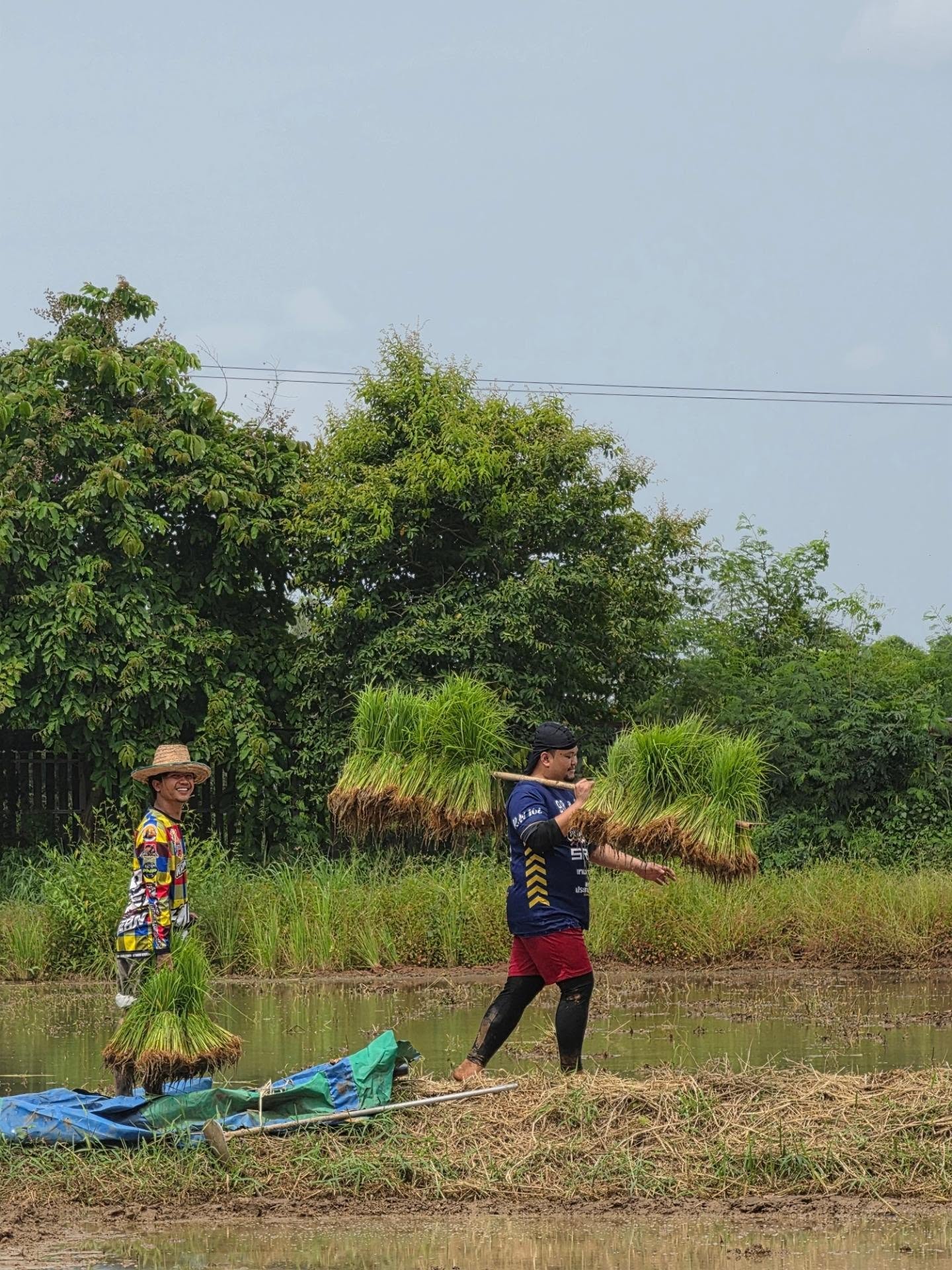 สกาย - วงศ์รวี นทีธร