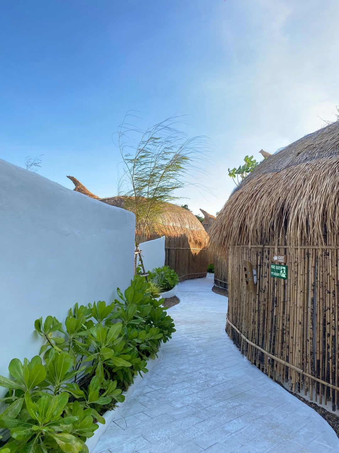 ยุ้ย - จีรนันท์ มะโนแจ่ม