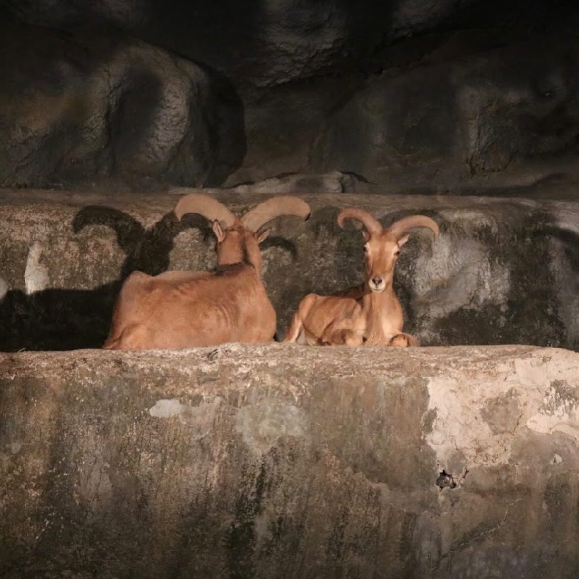 ยุ้ย - จีรนันท์ มะโนแจ่ม