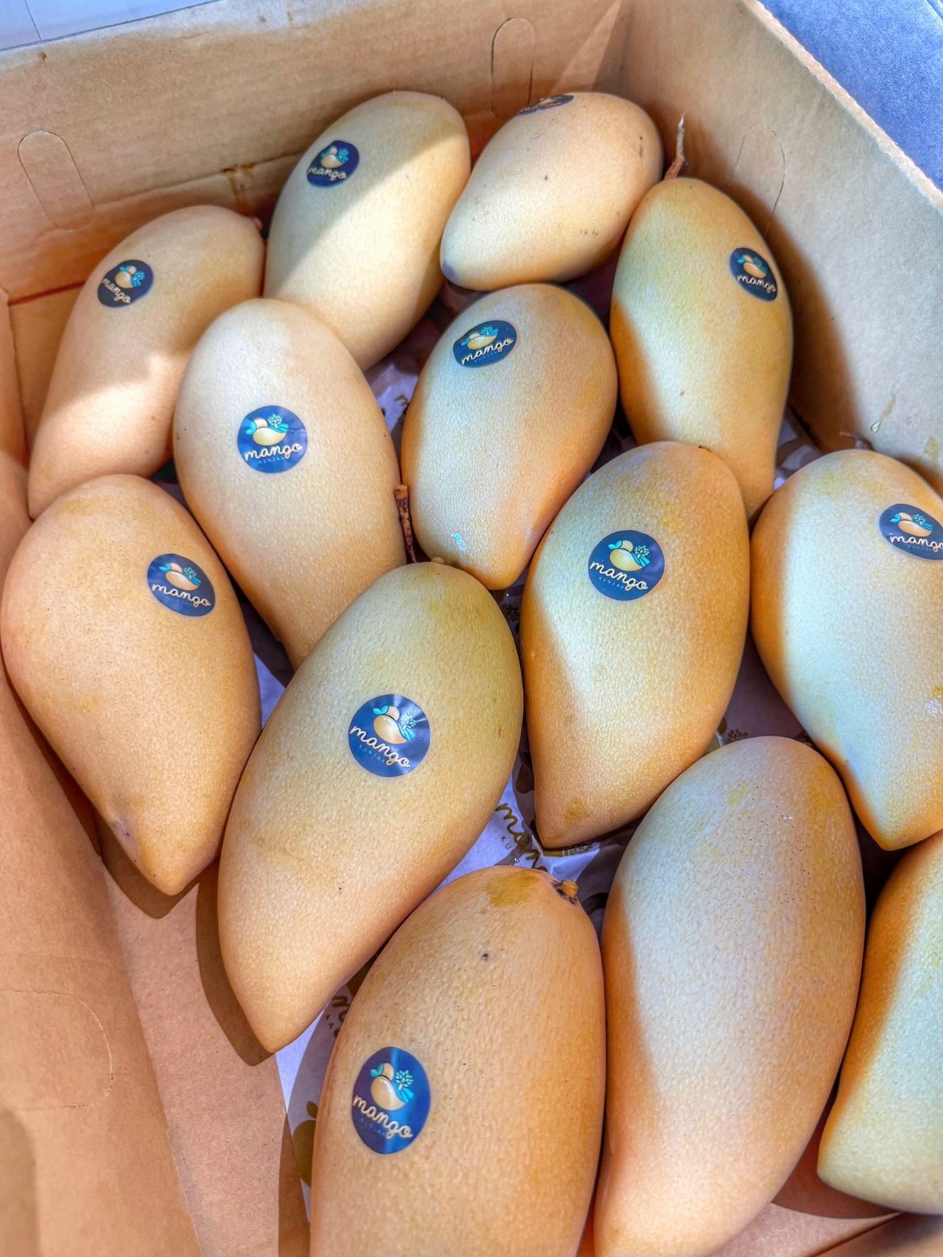 ยุ้ย - จีรนันท์ มะโนแจ่ม