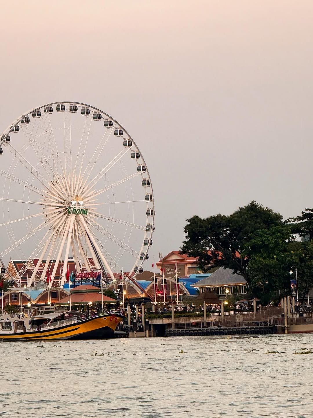 นีโอ - ตรัย นิ่มทวัฒน์
