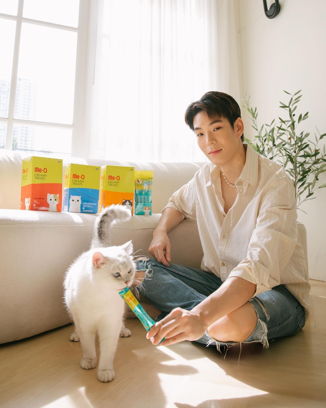 เจเจ - กฤษณภูมิ พิบูลสงคราม