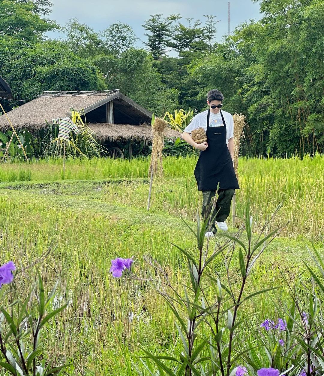 เจเจ - กฤษณภูมิ พิบูลสงคราม