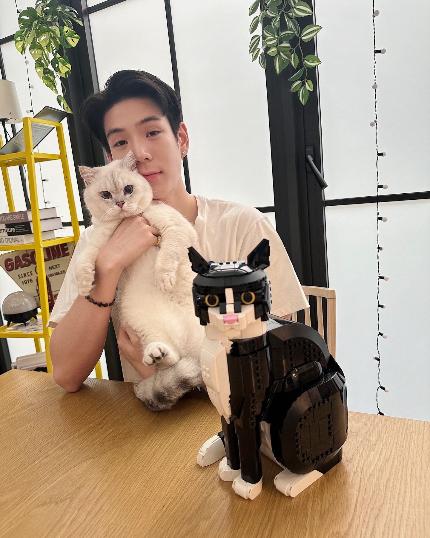 เจเจ - กฤษณภูมิ พิบูลสงคราม