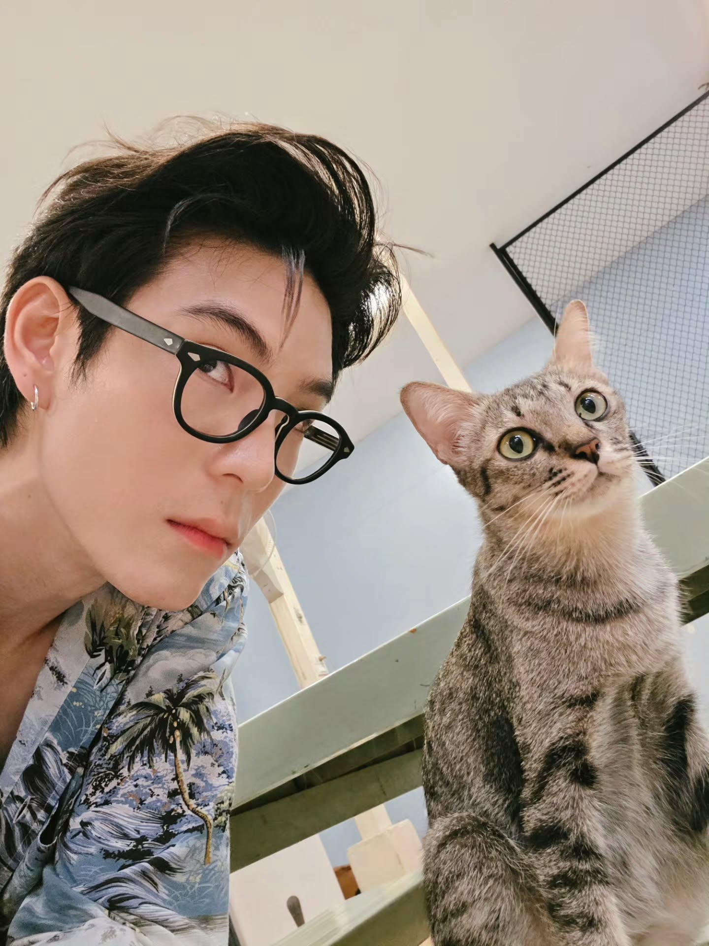 เจเจ - กฤษณภูมิ พิบูลสงคราม