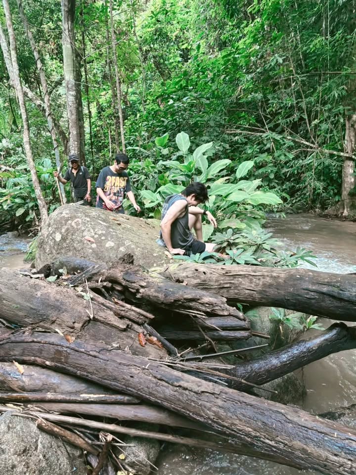 เจเจ - กฤษณภูมิ พิบูลสงคราม