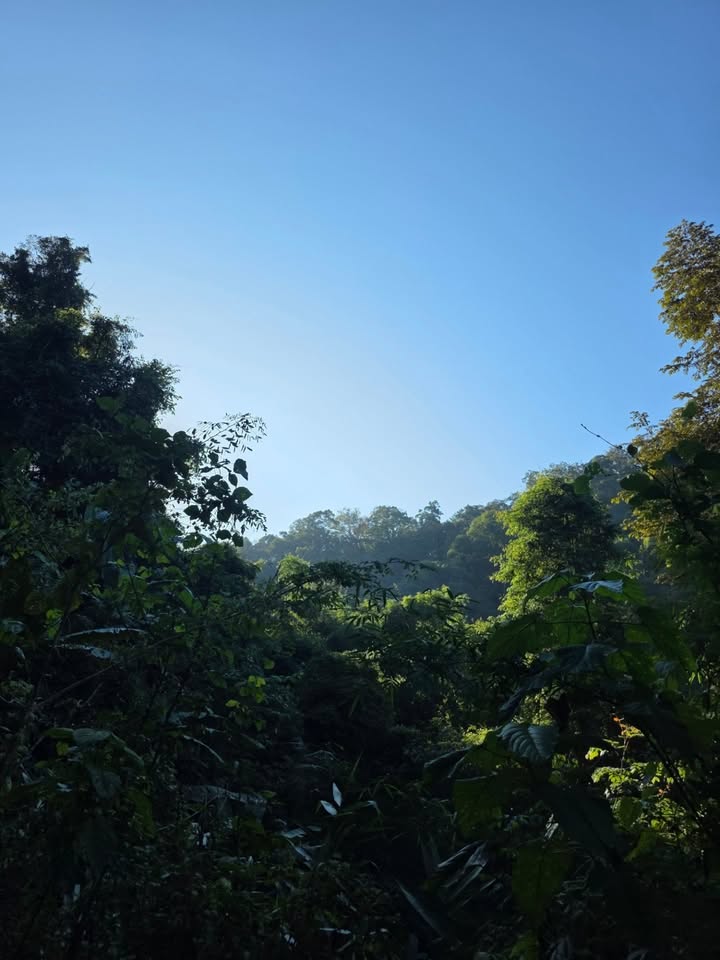 เจเจ - กฤษณภูมิ พิบูลสงคราม