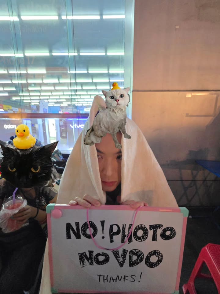 เจเจ - กฤษณภูมิ พิบูลสงคราม