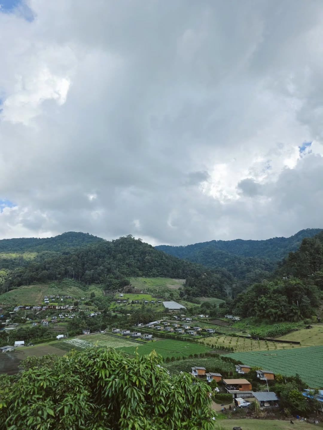 เจเจ - กฤษณภูมิ พิบูลสงคราม