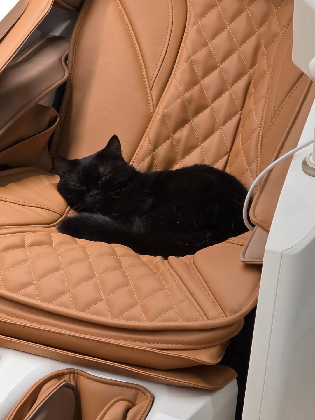 เจเจ - กฤษณภูมิ พิบูลสงคราม