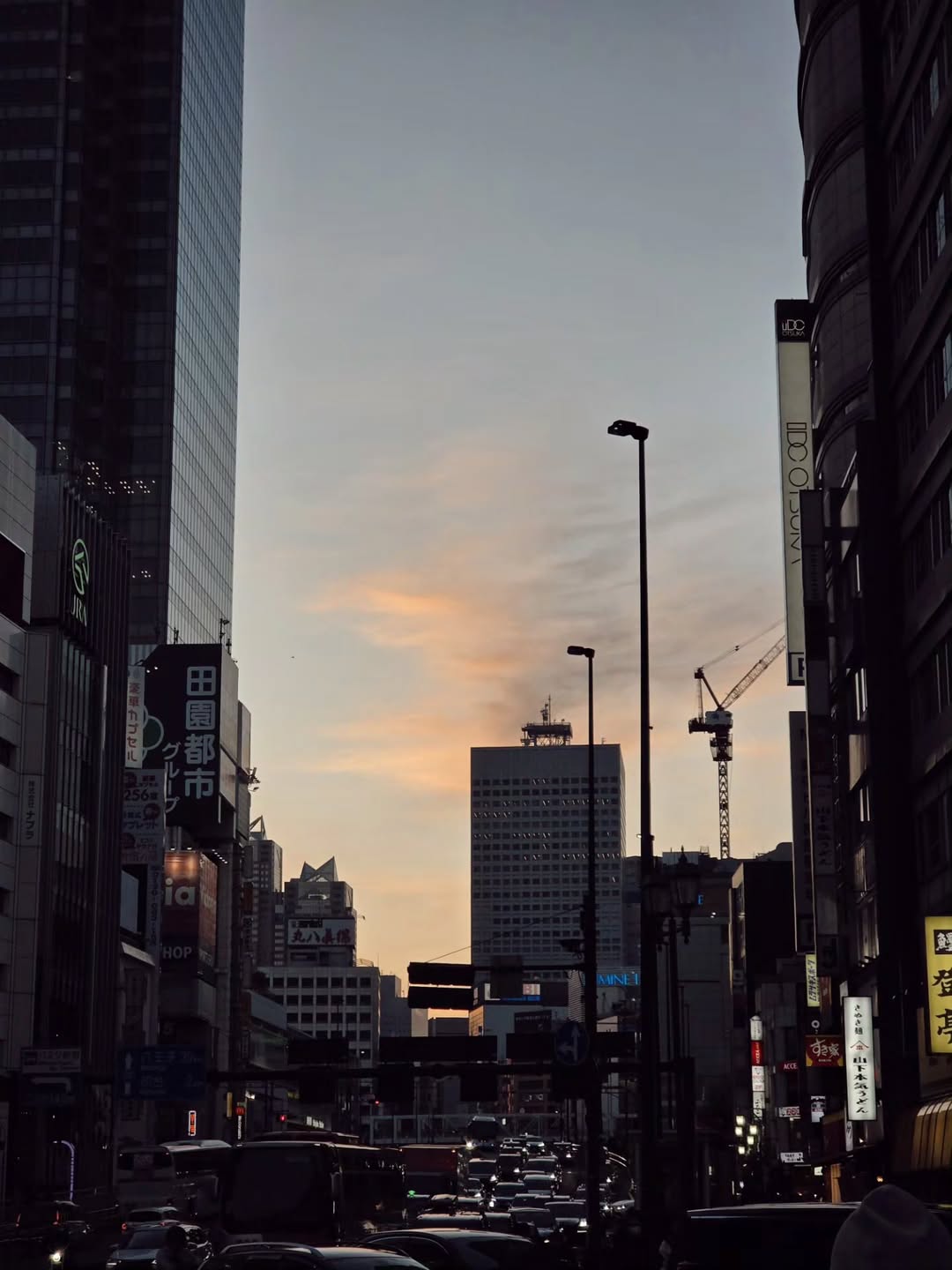 เจเจ - กฤษณภูมิ พิบูลสงคราม