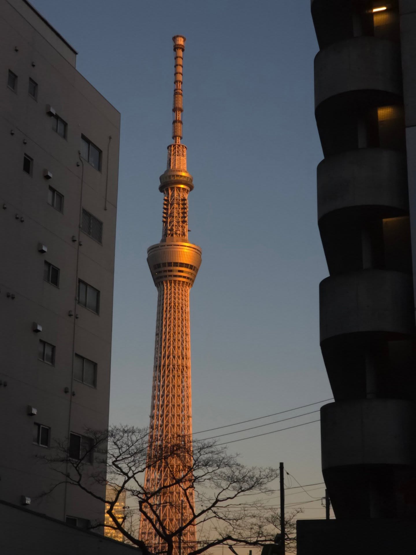 เจเจ - กฤษณภูมิ พิบูลสงคราม