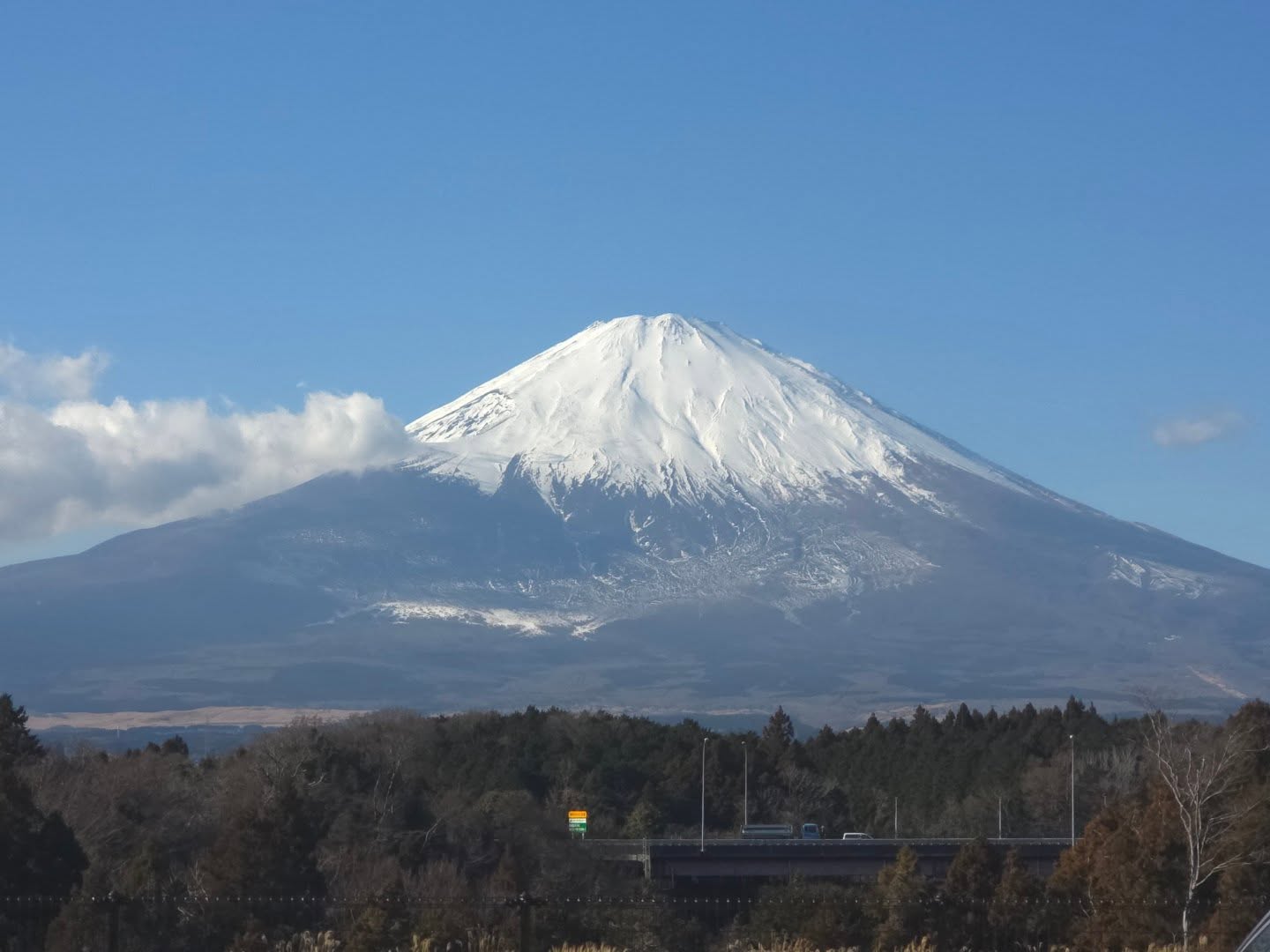 เจเจ - กฤษณภูมิ พิบูลสงคราม
