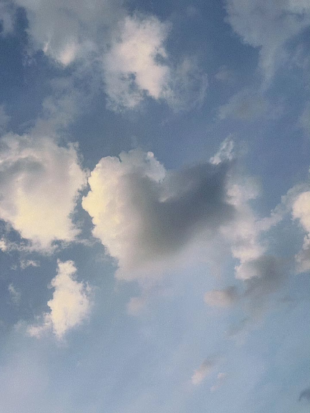 เจเจ - กฤษณภูมิ พิบูลสงคราม