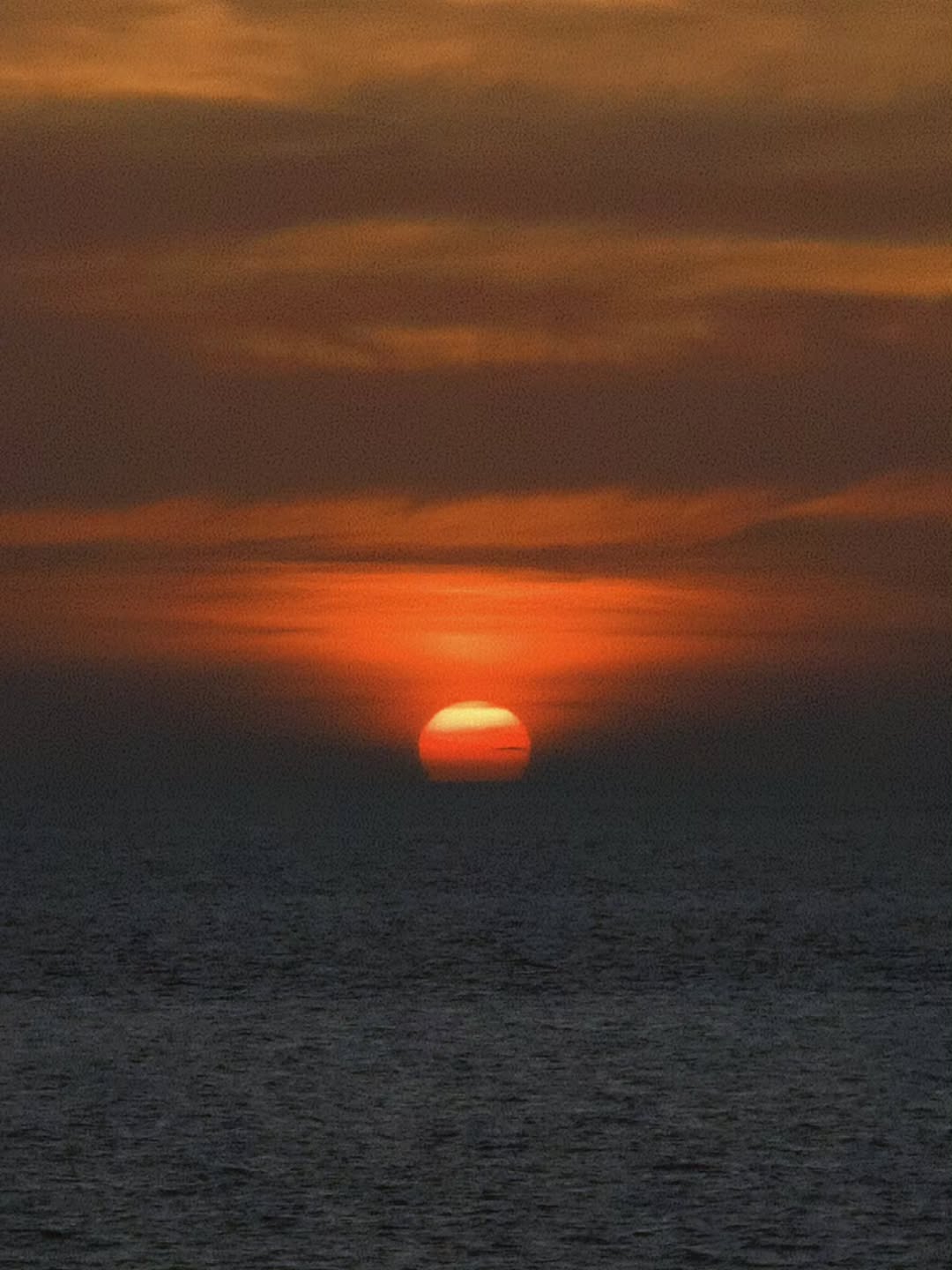 เจเจ - กฤษณภูมิ พิบูลสงคราม