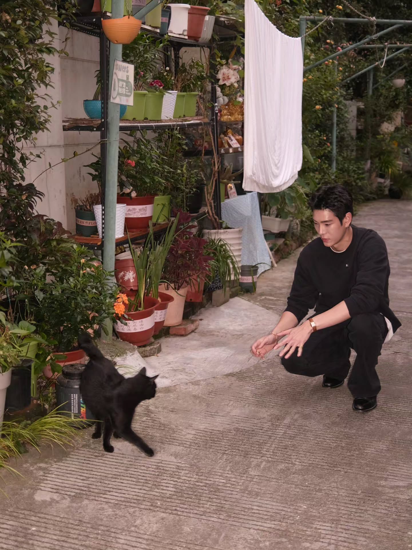 เจเจ - กฤษณภูมิ พิบูลสงคราม