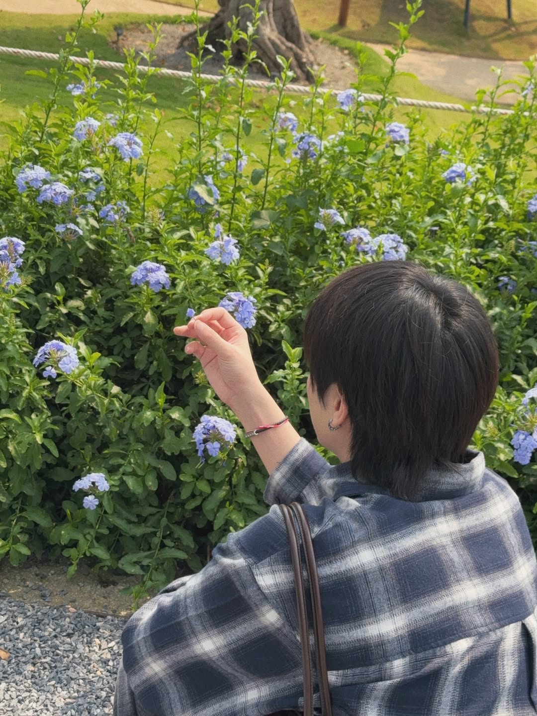 แจ๊คกี้ - จักริน กังวานเกียรติชัย