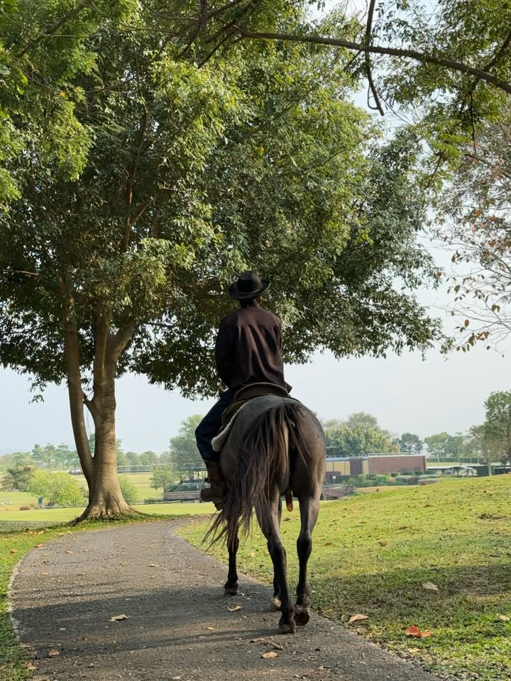 แจ๊คกี้ - จักริน กังวานเกียรติชัย