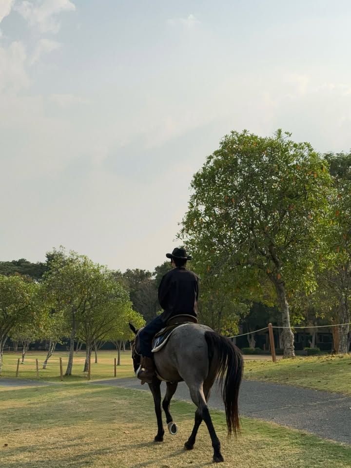 แจ๊คกี้ - จักริน กังวานเกียรติชัย