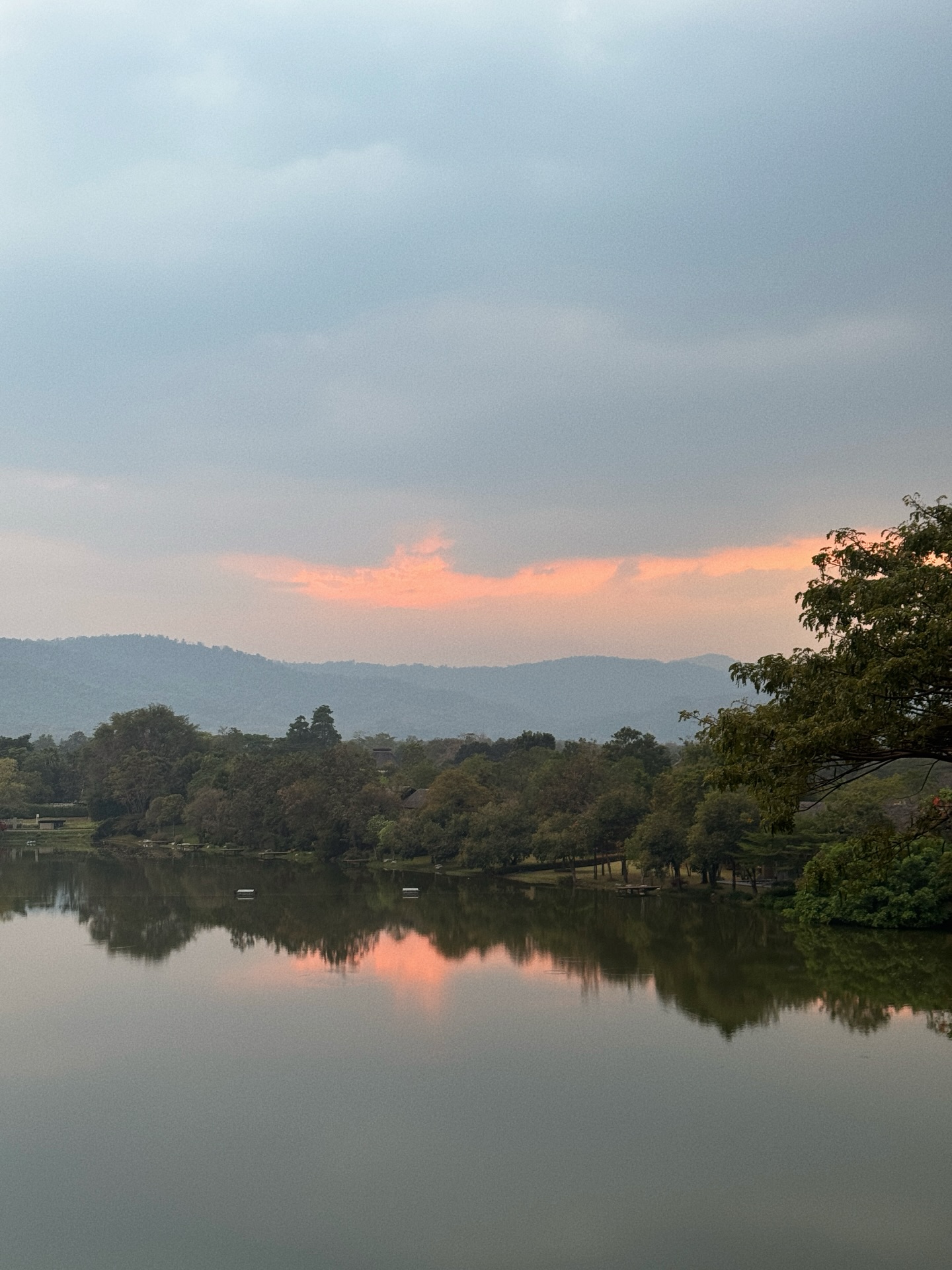 แจ๊คกี้ - จักริน กังวานเกียรติชัย