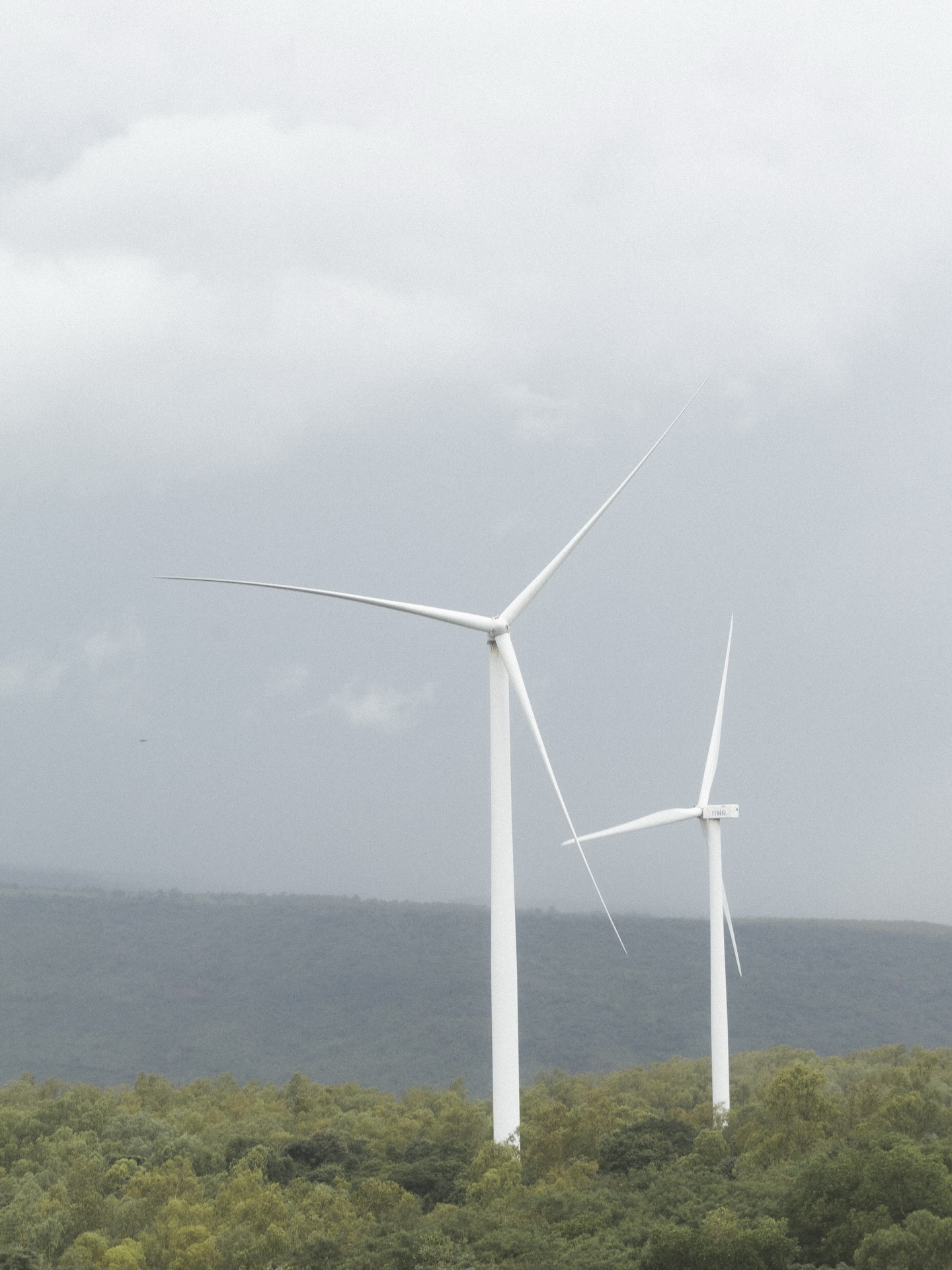 แจ๊คกี้ - จักริน กังวานเกียรติชัย