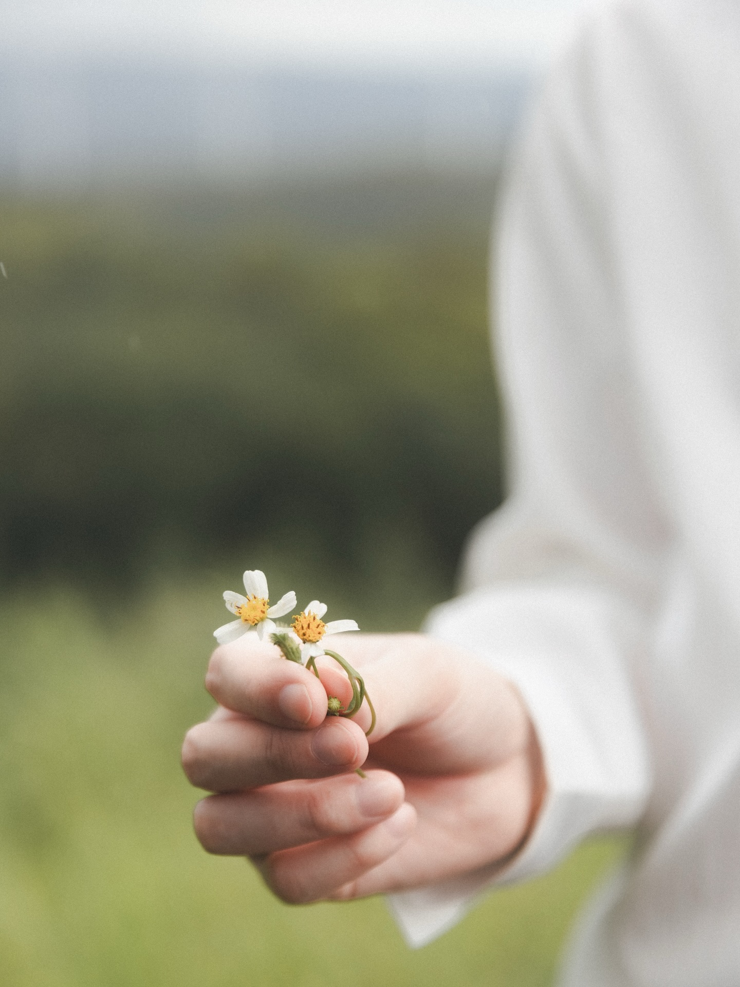 แจ๊คกี้ - จักริน กังวานเกียรติชัย