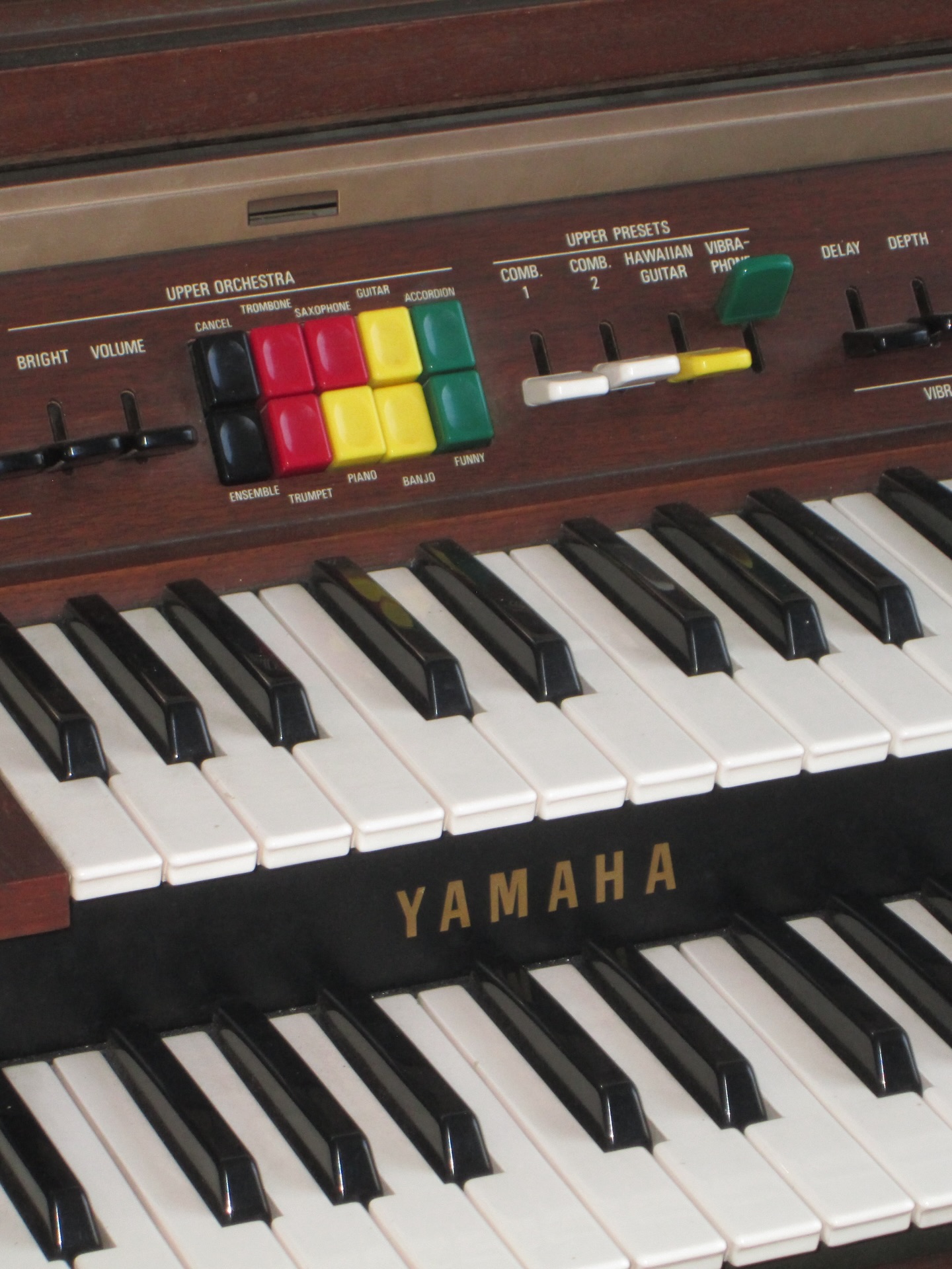 แจ๊คกี้ - จักริน กังวานเกียรติชัย