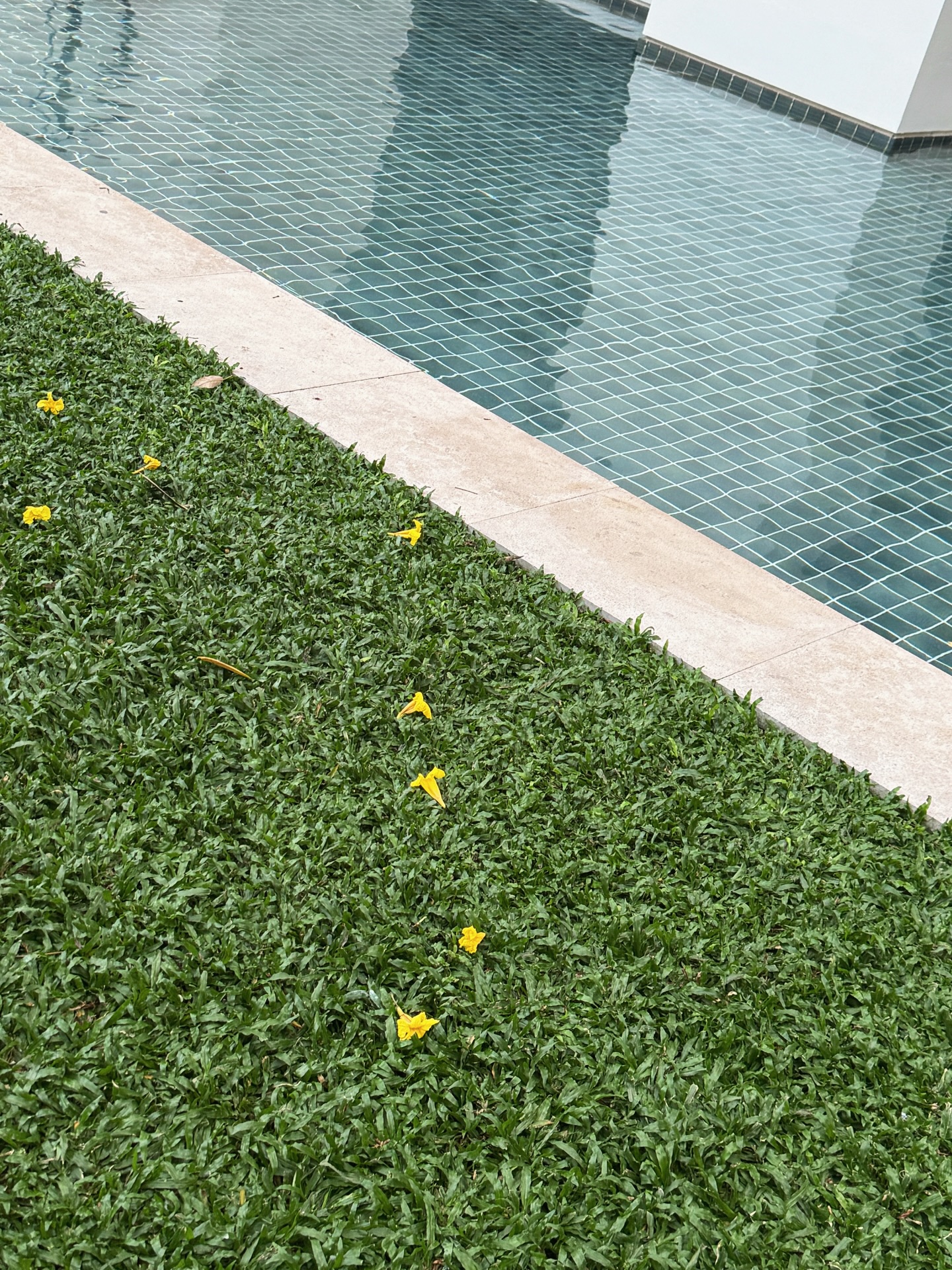 แจ๊คกี้ - จักริน กังวานเกียรติชัย