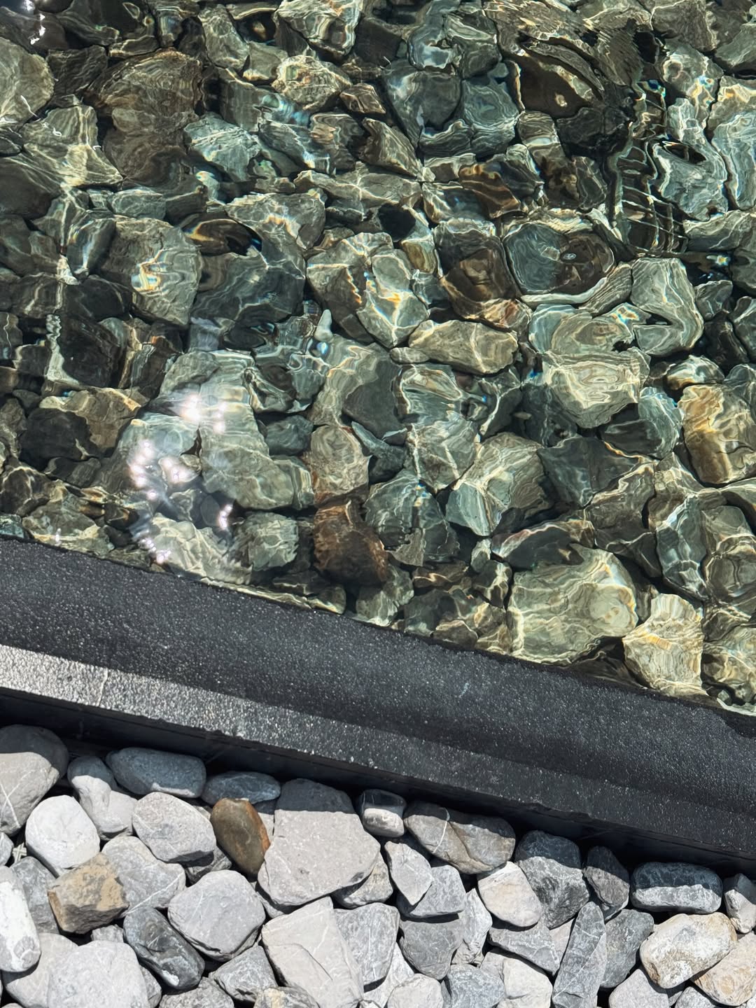 แจ๊คกี้ - จักริน กังวานเกียรติชัย