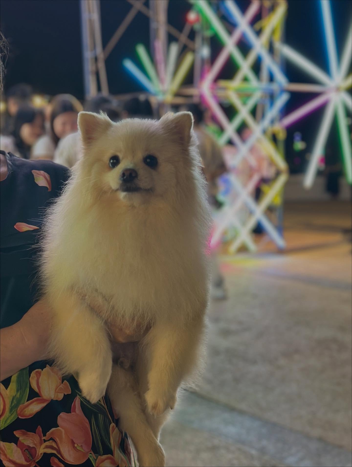 ตั้ว - เสฎฐวุฒิ อนุสิทธิ์