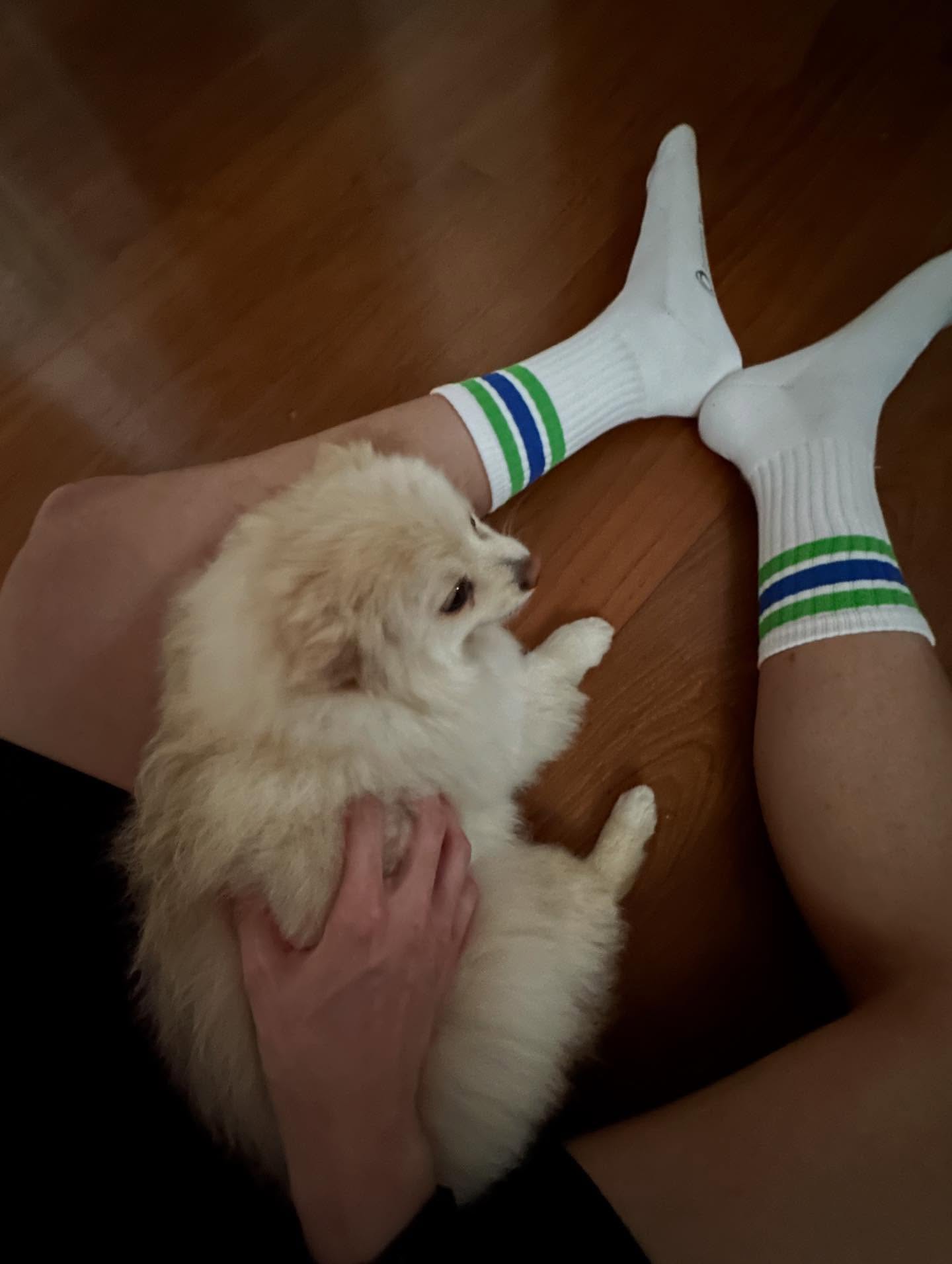 ตั้ว - เสฎฐวุฒิ อนุสิทธิ์