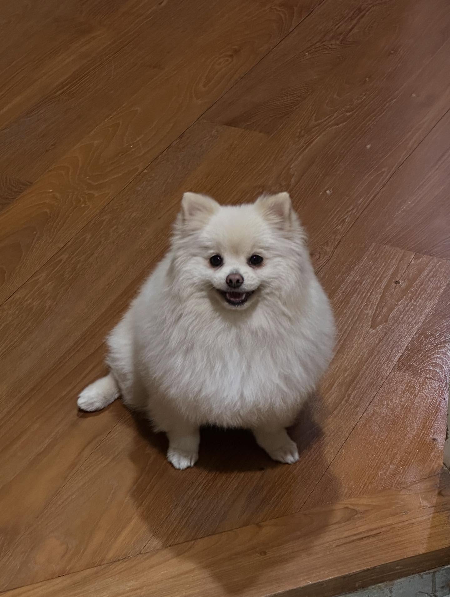 ตั้ว - เสฎฐวุฒิ อนุสิทธิ์