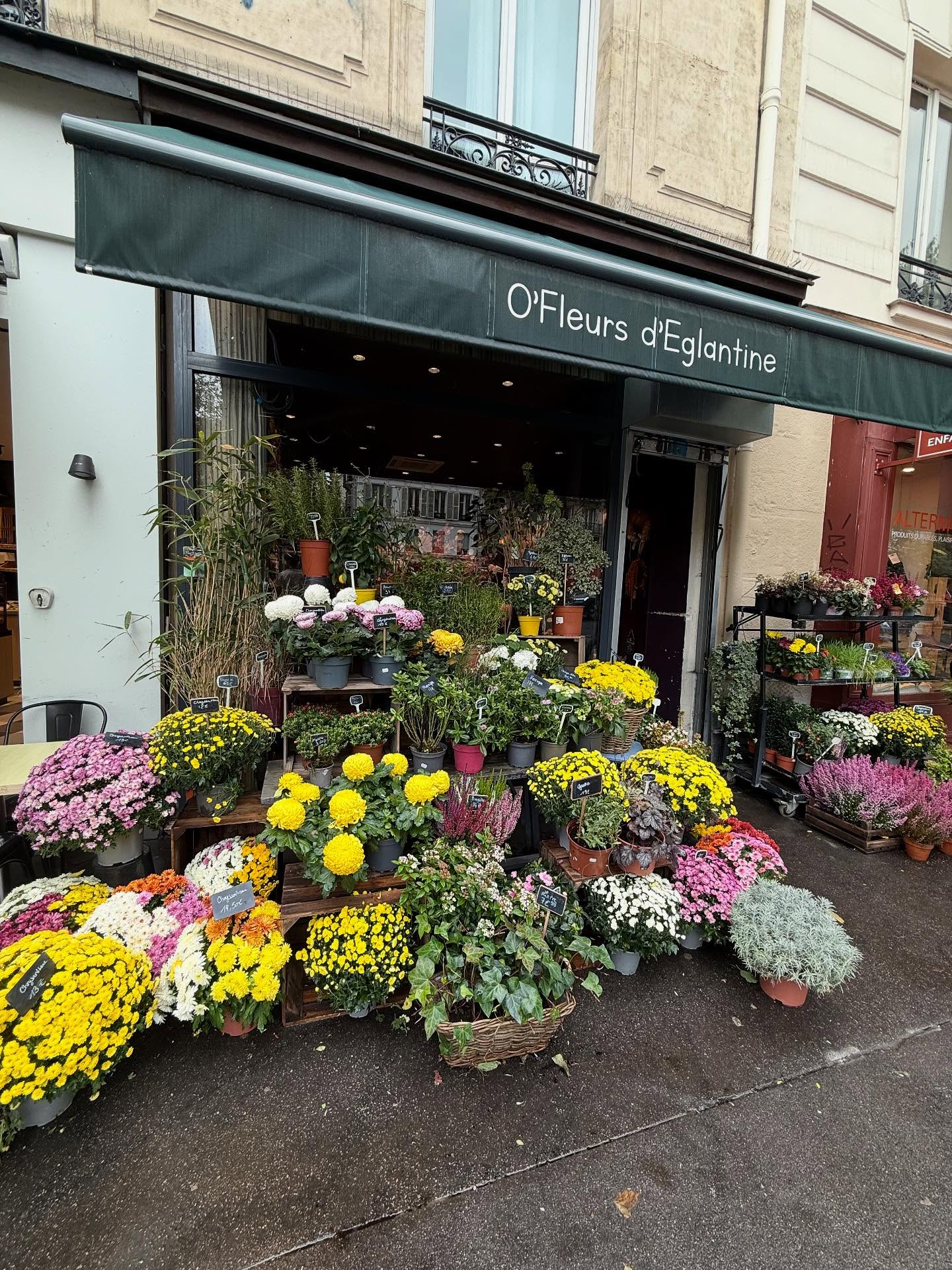 ก้อง - ก้องภพ จิโรจน์มนตรี