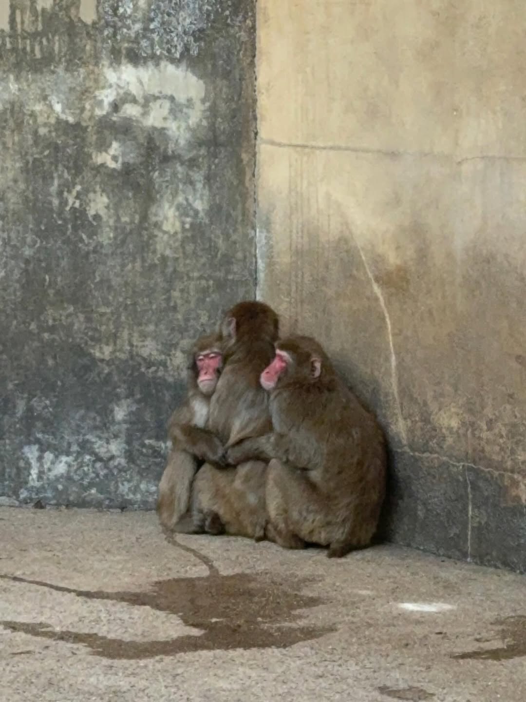 ก้อง - ก้องภพ จิโรจน์มนตรี