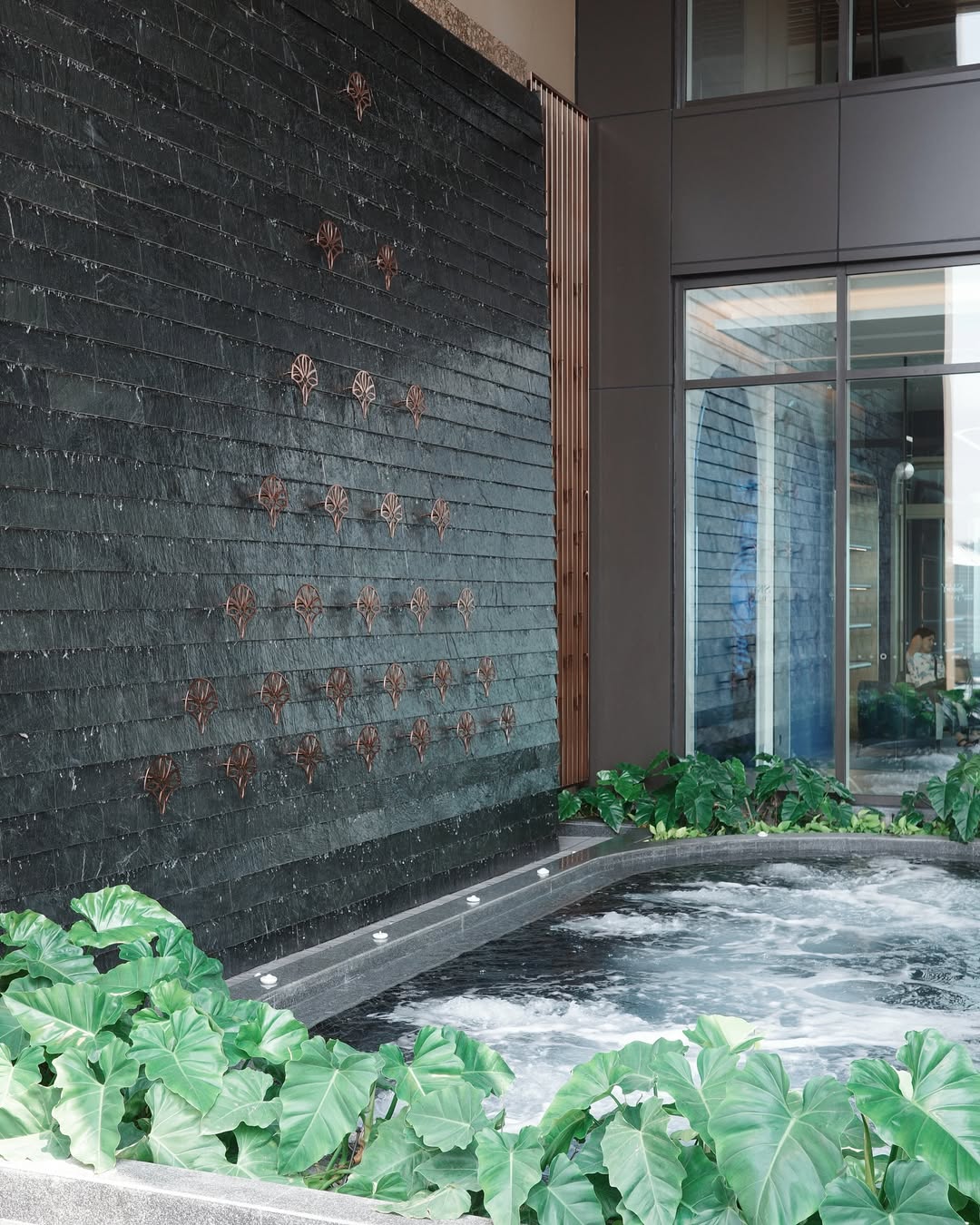 จ๋า - ณัฐฐาวีรนุช ทองมี