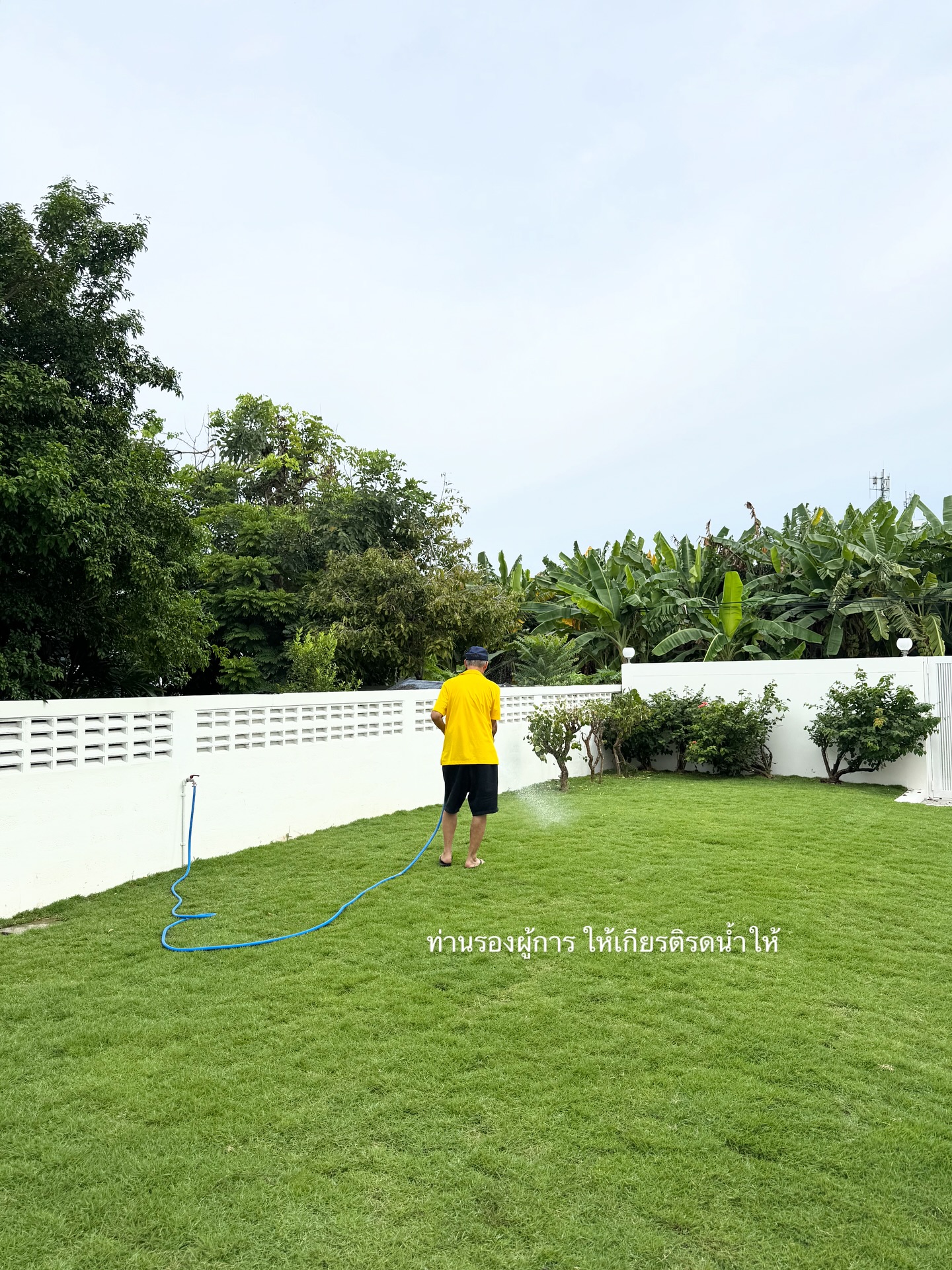 จ๋า - ณัฐฐาวีรนุช ทองมี