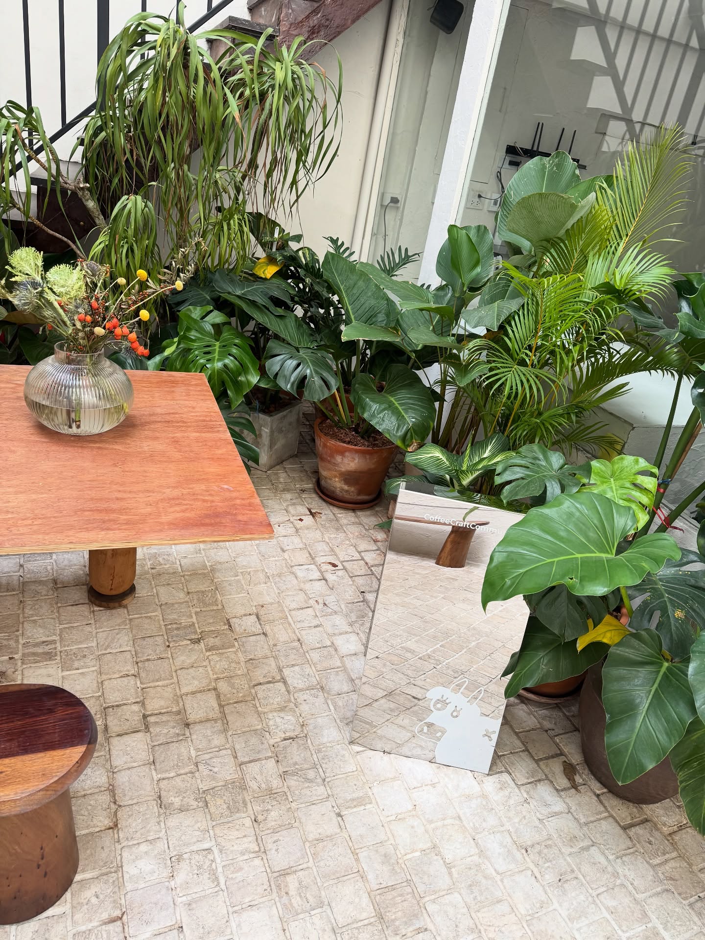 จ๋า - ณัฐฐาวีรนุช ทองมี