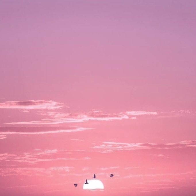 จ๋า - ณัฐฐาวีรนุช ทองมี