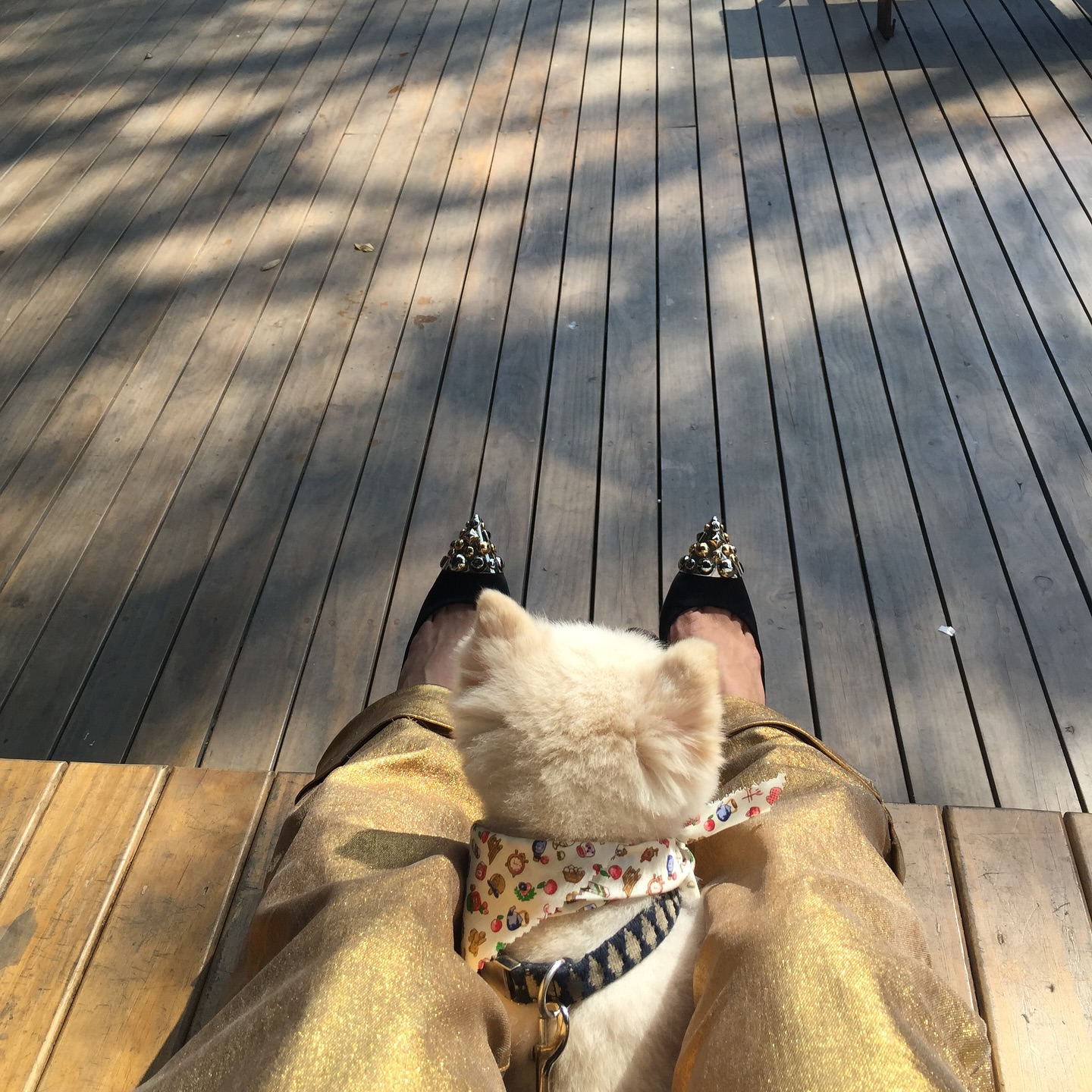 จ๋า - ณัฐฐาวีรนุช ทองมี