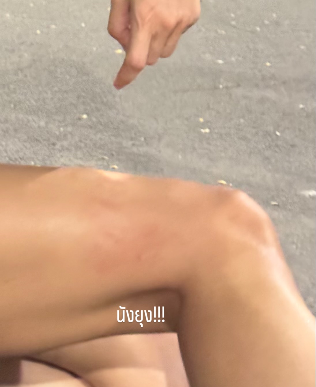 จ๋า - ณัฐฐาวีรนุช ทองมี