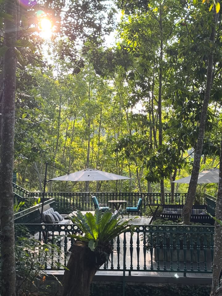 จ๋า - ณัฐฐาวีรนุช ทองมี