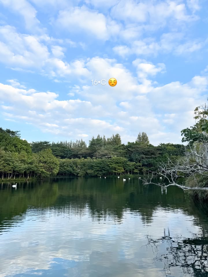 จ๋า - ณัฐฐาวีรนุช ทองมี