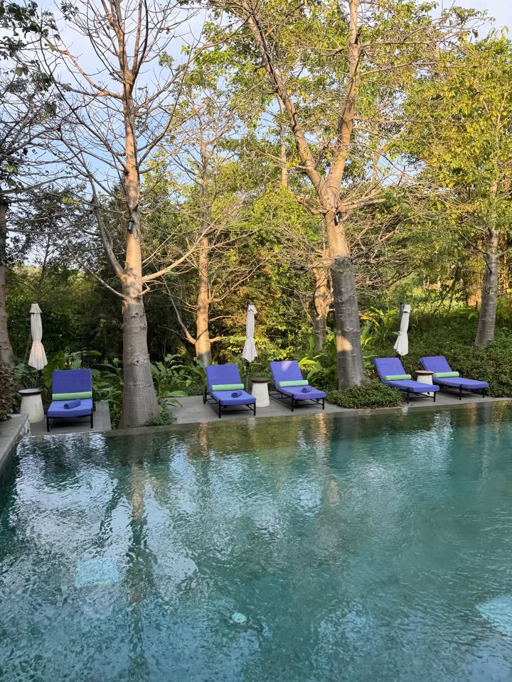 จ๋า - ณัฐฐาวีรนุช ทองมี