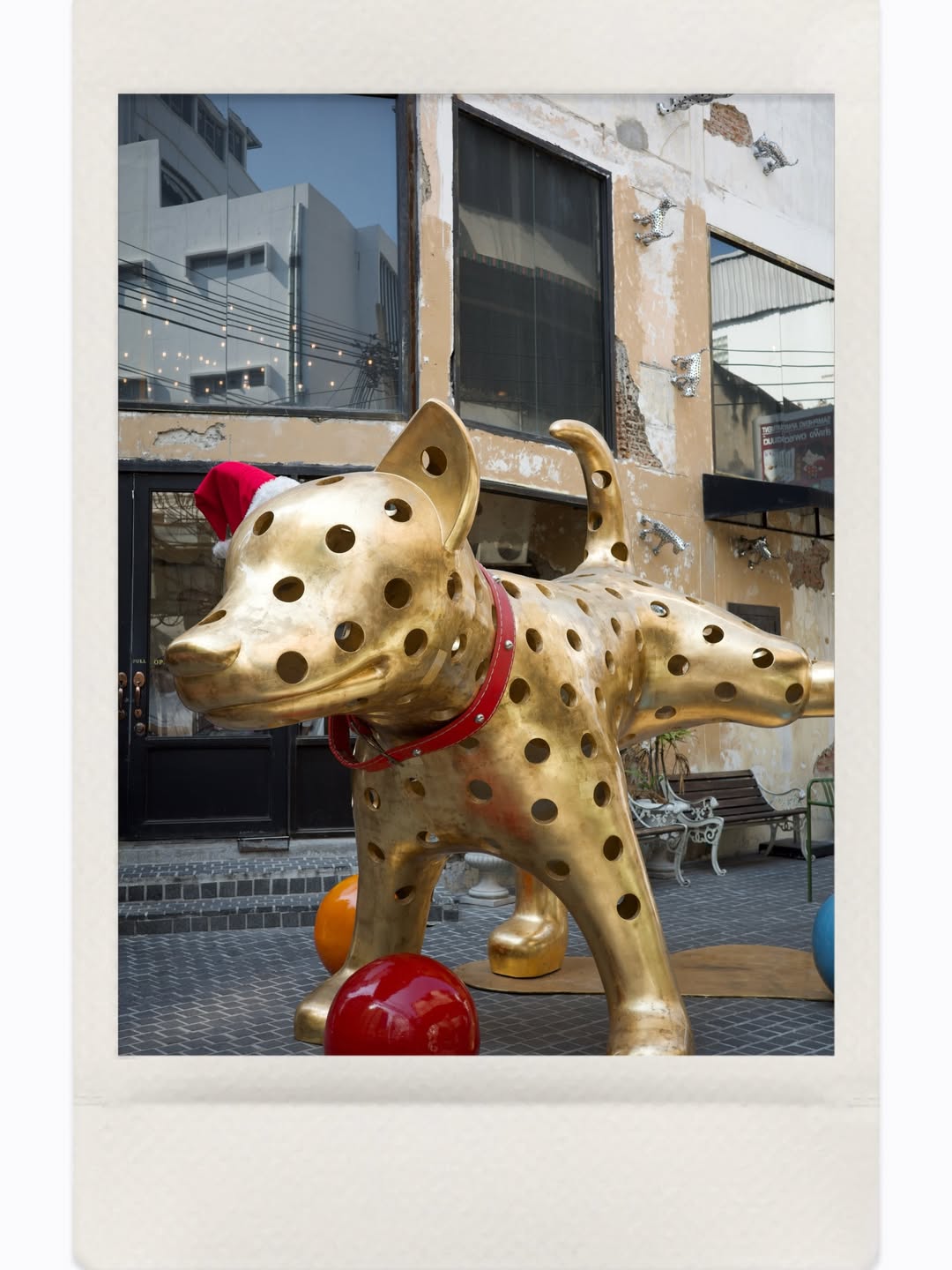 จ๋า - ณัฐฐาวีรนุช ทองมี