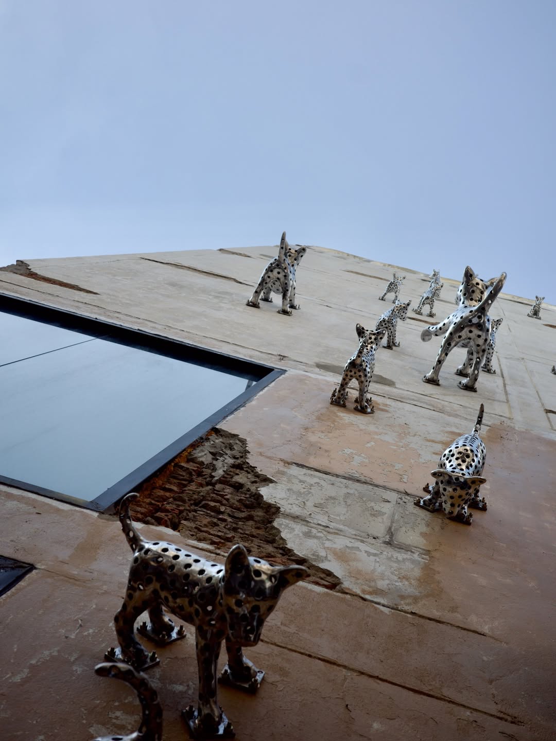 จ๋า - ณัฐฐาวีรนุช ทองมี