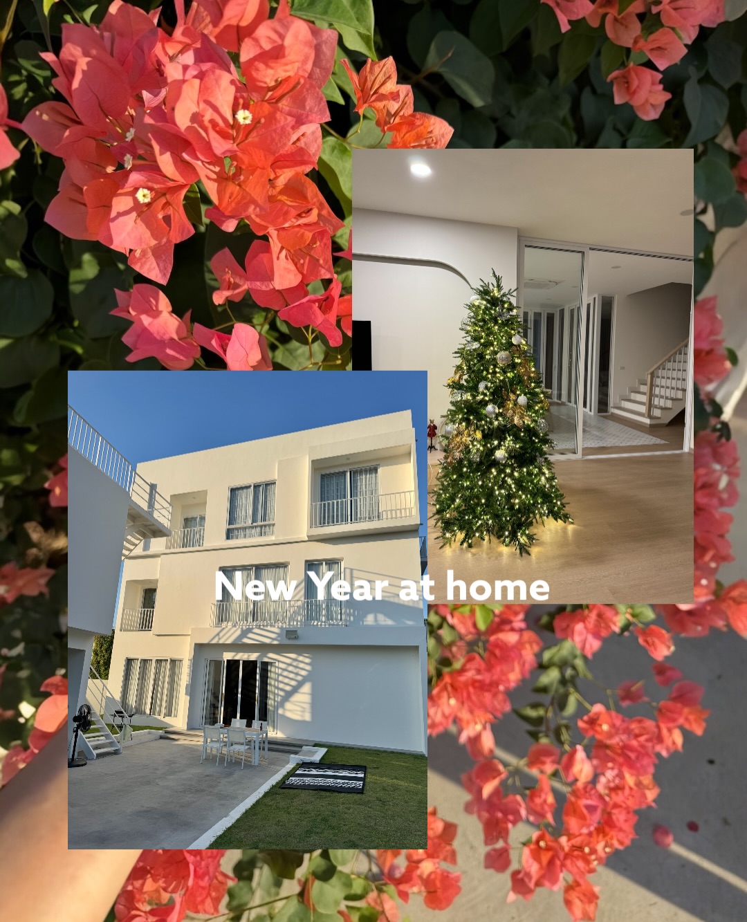 จ๋า - ณัฐฐาวีรนุช ทองมี