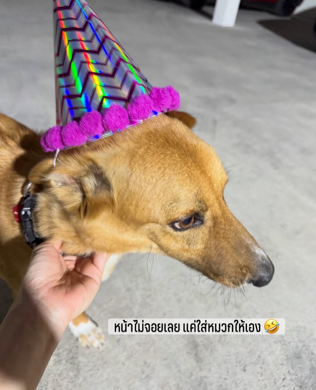 จ๋า - ณัฐฐาวีรนุช ทองมี