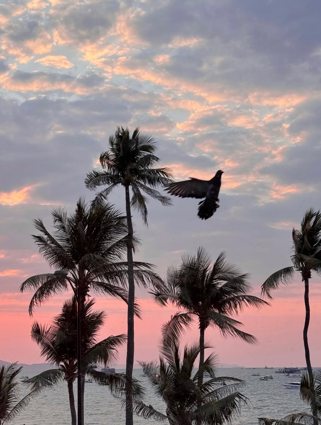 จ๋า - ณัฐฐาวีรนุช ทองมี