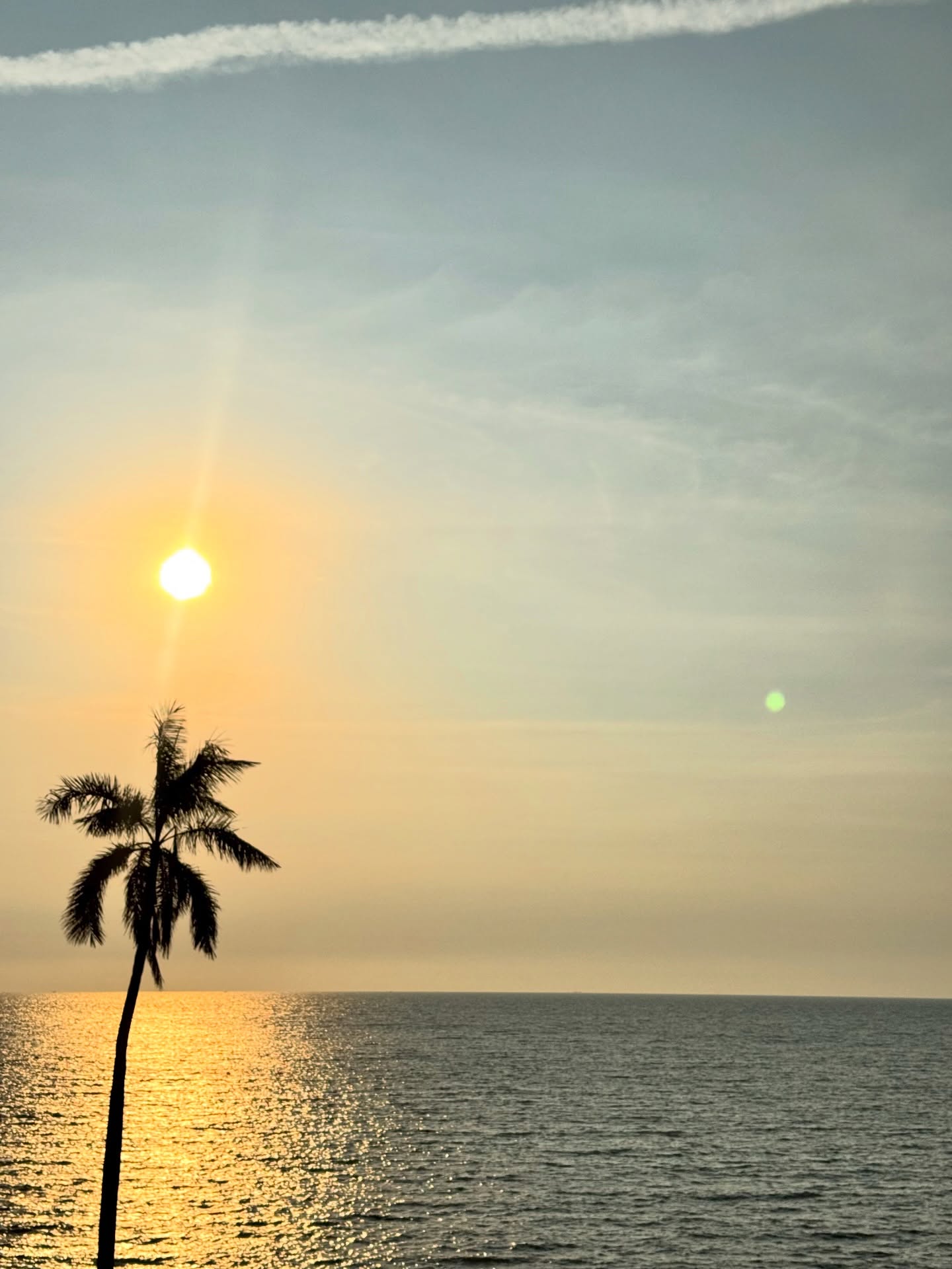 จ๋า - ณัฐฐาวีรนุช ทองมี